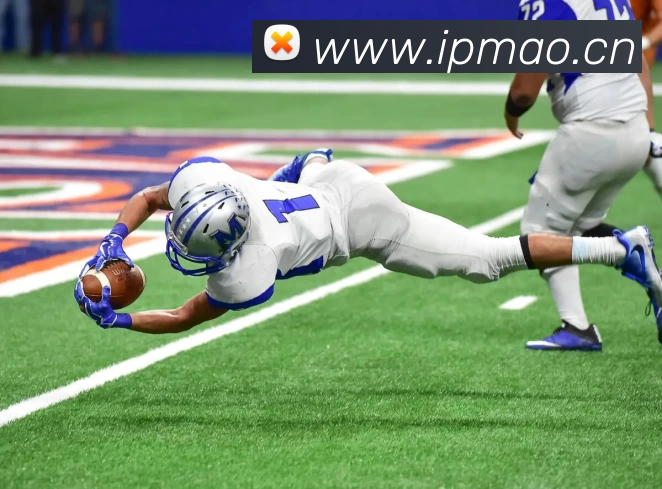 足球世界杯官网中文版平台生态图